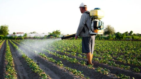 Porota v Georgii nařídila společnosti Bayer zaplatit 2 miliardy dolarů v případu rakoviny způsobené přípravkem Roundup
