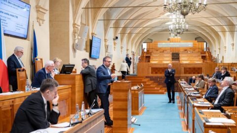 Nynější čtyři sociální dávky zřejmě nahradí jedna, Senát reformu podpor schválil