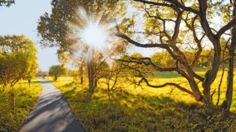 Mrazivá rána vydrží do konce týdne, na horách bude sněžit, po víkendu se oteplí