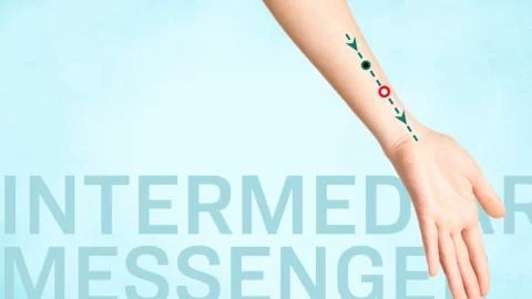 Dvojí síla Ťien Š‘: Léčení srdce a mysli pomocí tradiční čínské medicíny