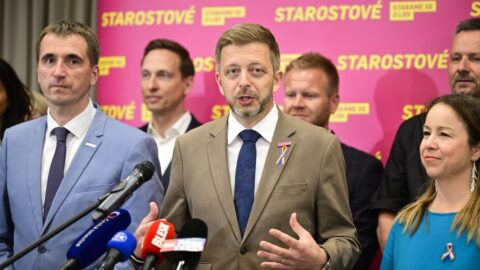 Starostové ve volebním programu slibují co nejrychlejší zavedení eura