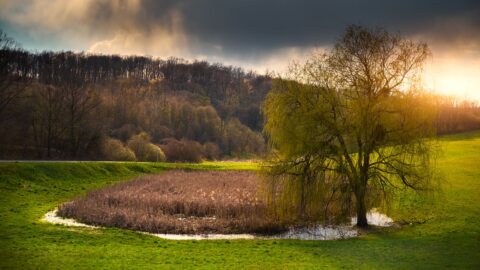 Týden bude oblačný s teplotami do 20 stupňů