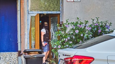 Policie Jiřikovského obvinila pro 2 skutky legalizace výnosů z trestné činnosti