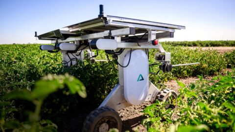 Proč se stále více farmářů obrací na stroje s umělou inteligencí