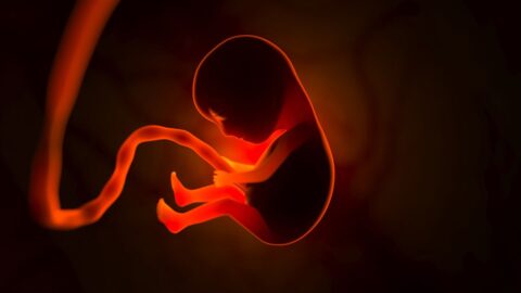 V USA se narodilo dítě z embrya zmrazeného už v roce 1994