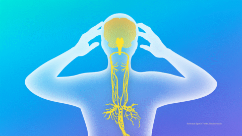 12 způsobů, jak aktivovat bloudivý nerv – a jak je cvičit