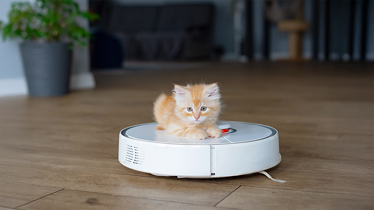 Každodenní vysávání, i když jen krátké, pomáhá udržovat pořádek a snižuje potřebu náročnějšího úklidu. (Kokosha Yuliya / Shutterstock)