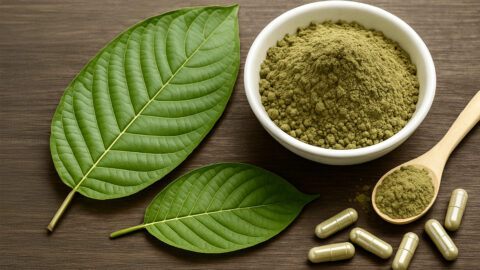Kratom: účinky, rizika a proč je nutná regulace