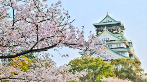 V Japonsku už je téměř 100.000 stoletých a starších lidí