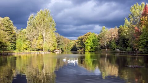 Počasí v následujících dnech bude kolísavé, víkend  většinou bez srážek