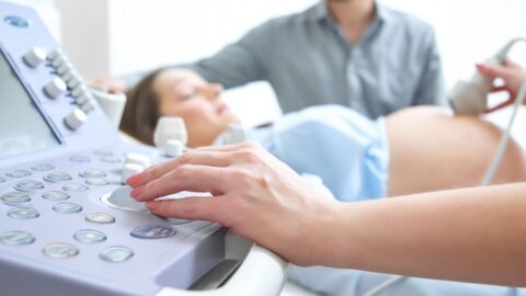 Jak se k problematice náhradního mateřství staví politické strany a hnutí – předvolební průzkum