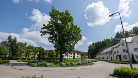 Vesnicí roku 2025 je Písečná v Pardubickém kraji, soutěžilo 181 obcí v Česku