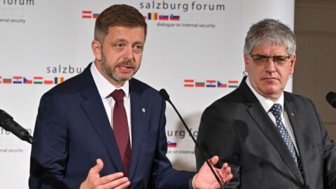 Kriminalita mladistvých stoupla o třetinu a sebevražda je druhou nejčastější příčinou jejich smrti, uvedl statistiky Rakušan