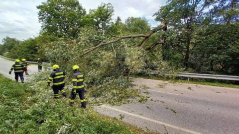 Kvůli silnému větru je v Královéhradeckém kraji více než 4000 domácností bez elektřiny