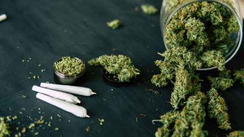 Produkty s vysokým obsahem THC spojeny s okamžitou psychózou a závislostí