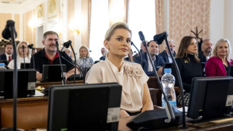 Novou předsedkyní poslaneckého klubu ANO se stala poslankyně Taťána Malá