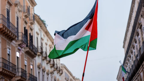 Rektorka AMU: Vyvěšení palestinských vlajek bylo nevhodně načasované. Vyzvala ke zdrženlivosti