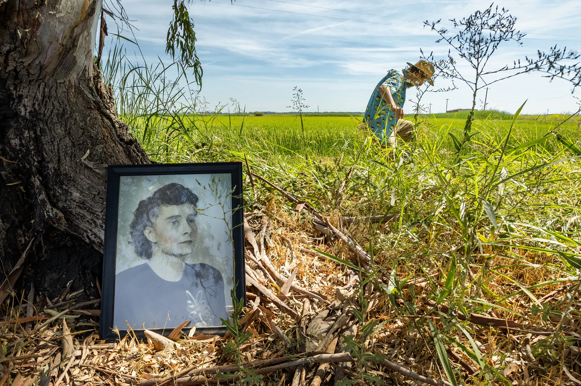 Fotografie Mary Lopesové, babičky Bruce Lopes, hledí na ekologická rýžová pole poblíž města Willows v Kalifornii, 4. září 2025. Mary a její manžel John Sylvester Lopes, přistěhovalci z ostrova São Jorge v Portugalsku, založili farmu v roce 1914. (John Freddicks / The Epoch Times)