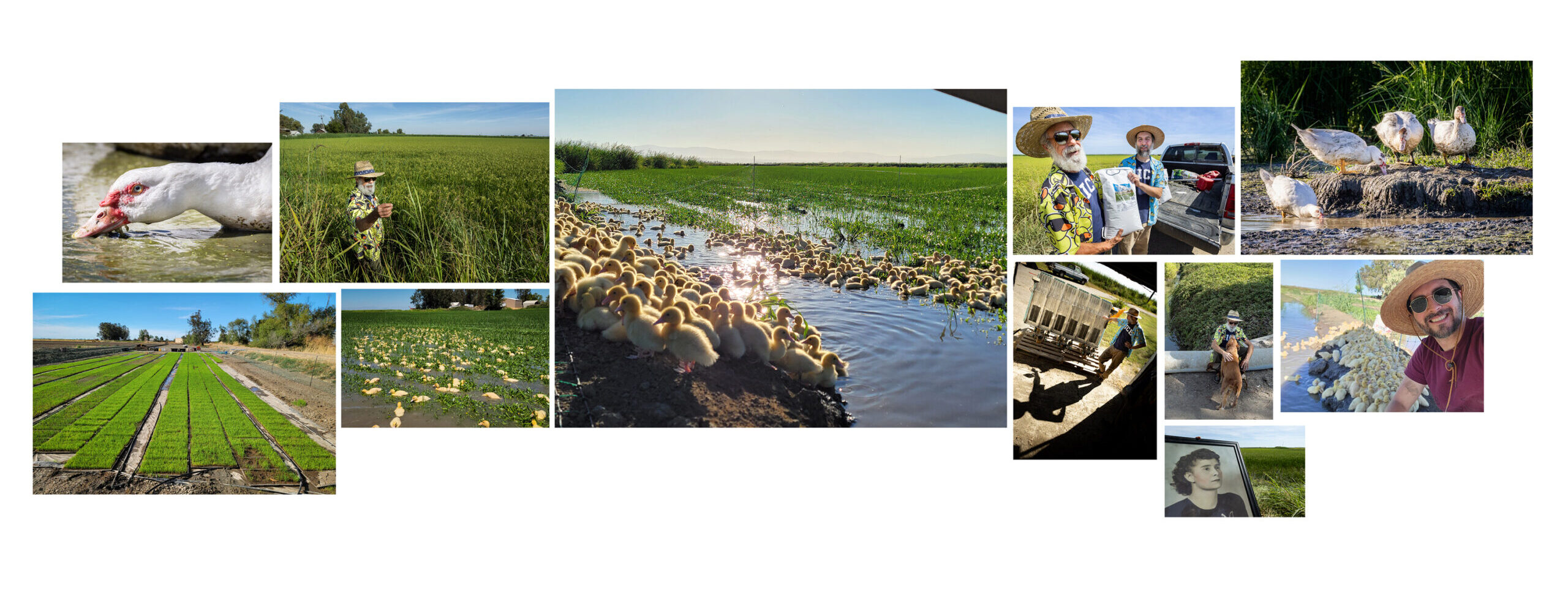 (John Fredricks / The Epoch Times, s laskavým svolením Lopes Family Farms)