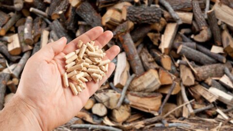 Zájem o dřevěné pelety vzrostl. Podle některých z oboru je za tím i nejistota kolem emisních povolenek