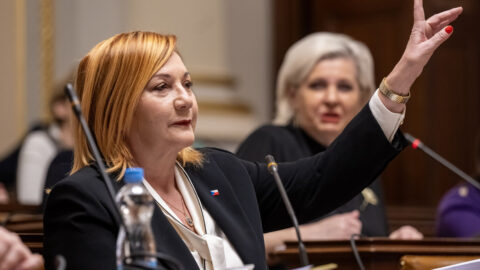 Odmítnout, přepracovat. Rozpočtový výbor přijal návrh Schillerové k rozpočtu pro rok 2026