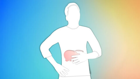 Životně důležitá role jater: energetické centrum metabolického zdraví