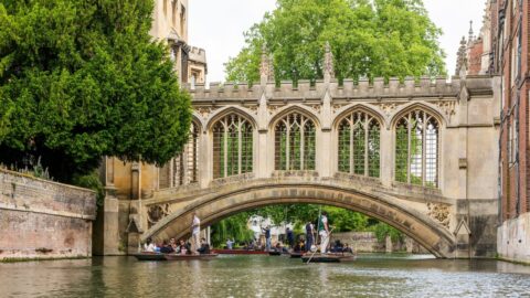 Slovem roku je podle slovníku Cambridgeské univerzity „parasociální“