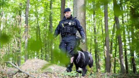 Pohřešovaný chlapec ze Zlínska byl asi unesen, policie zadržela jednoho muže