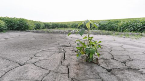 Geoinženýrství už není jen teorií
