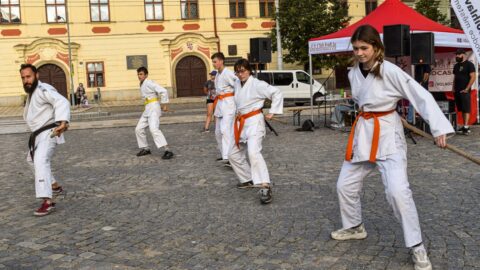 Bojové umění kobudo z Okinawy trénují i neposední dráčci ze školky (Rozhovor)