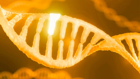 Geny nejsou váš osud: Jak ovlivnit epigenetiku pro dlouhověkost