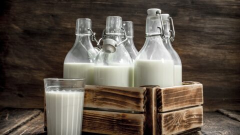Zapomenutá lékařská historie syrového mléka