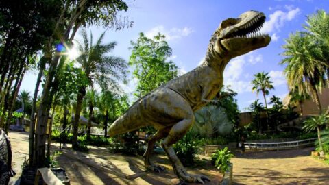 Tyrannosaurus rex do své maximální velikosti dorostl až ve věku 40 let