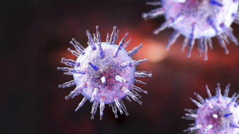 Běžný „líbací“ virus může spouštět lupus, zjistila studie