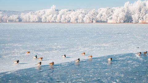 V noci na středu klesnou teploty k minus 13, ve čtvrtek k minus 16 stupňům