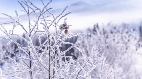 Na Šumavě dnes na některých místech klesly teploty k minus 30 stupňům Celsia