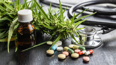 „Přestaňme se tvářit, že konopí není tradiční.“ Ve Sněmovně  se otevřelo téma dekriminalizace