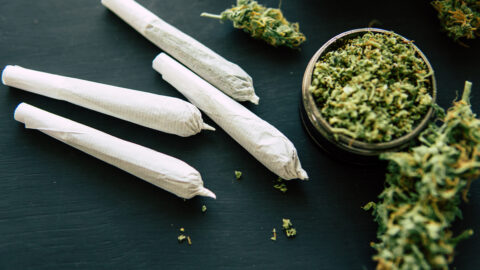 Ukládání THC v těle a jeho dlouhodobý vliv na zánětlivé a imunitní procesy