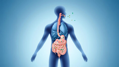 Váš dech může napovědět, v jakém stavu je váš střevní mikrobiom