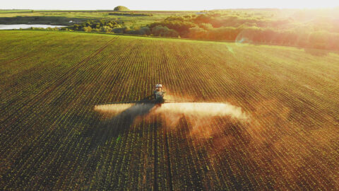 Nejen pole: 70 procent půd v Evropě je zatíženo pesticidy