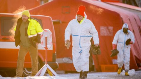 Na Královéhradecku je další ohnisko ptačí chřipky, v chovu utratí všech 230 000 nosnic