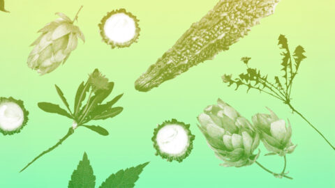 Proč bychom měli jíst více hořkých potravin