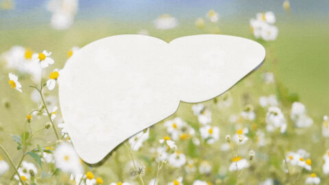 Varovné signály nerovnováhy jater a přirozená jarní obnova