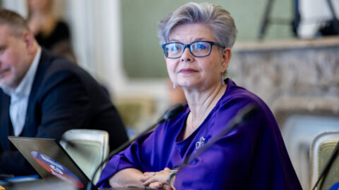 „Chceme chránit korunu, hotovost a život bez digitální komunikace.“ Rozhovor s Kovářovou o změně Ústavy