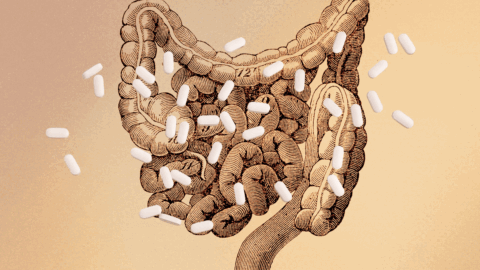 Tento vitamin může ovlivnit činnost vašich střev