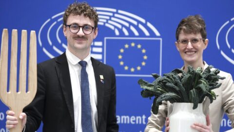 Pochopte, že nový osivový zákon EU ovlivní sdílení semínek a rozmanitost odrůd, varují spolky
