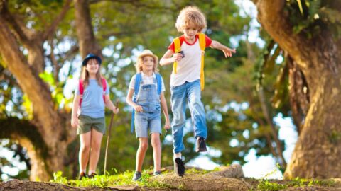 Letní prázdniny letos začnou o něco dříve, v pátek 26. června, informoval Plaga