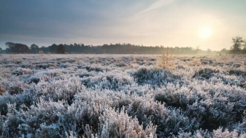 Po teplé neděli přijde ochlazení, v noci hrozí mrazy
