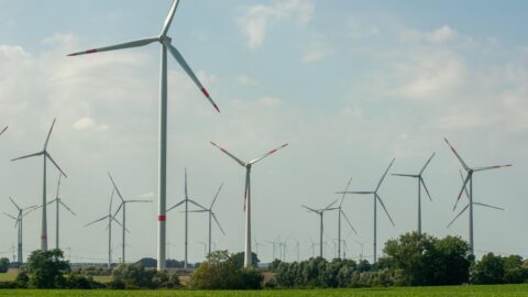 Bez stabilních uhelných kapacit nám zkolabuje nejen energetika, ale celá ekonomika