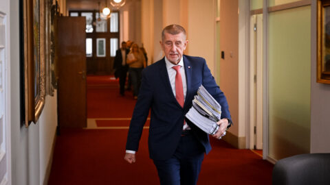 „Mít děti je oběť, ale i smysl života.“ Babiš chce debatovat o klesající porodnosti